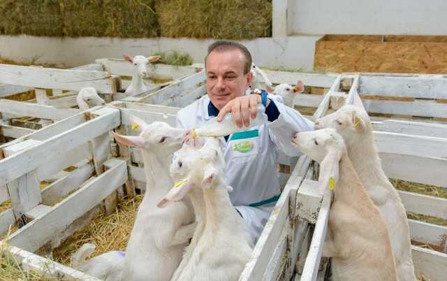 5 вишиванок Юрія Тернавського. Що відомо про бізнесмена, який хлібом-сіллю зустрічає ватажка "ДНР"