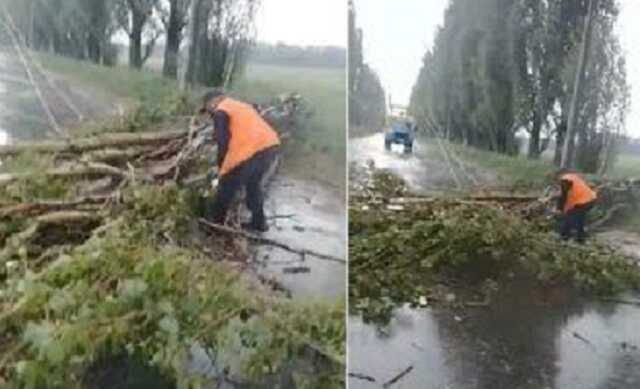 В Сумах ураган повалил деревья и заблокировал транспорт: видео последствий непогоды