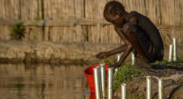 Угроза голода подталкивает Африку в сторону путинской России