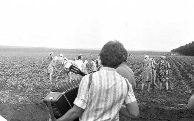 В Старобельске оккупанты пытаются согнать аграриев в колхоз, - ГУР