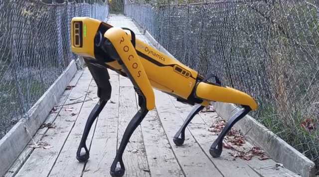 США передадут в Украину робопса Spot для разминирования территорий, — Foreign Policy