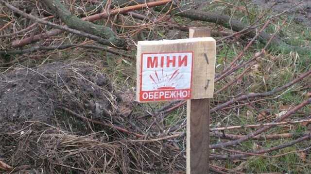 В ГСЧС рассказали, сколько времени потребуется для разминирования Украины