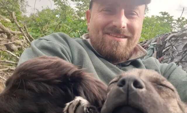 Щенки, которых пригрели ВСУ, защищают кошку с новорожденными котятами