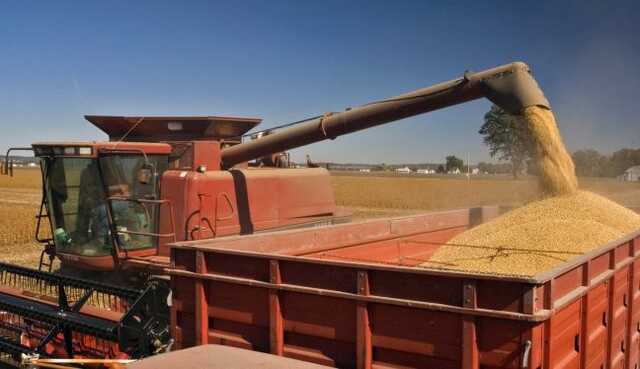 Украина ежемесячно увеличивает экспорт зерна через западные границы на 50%, - Кубраков