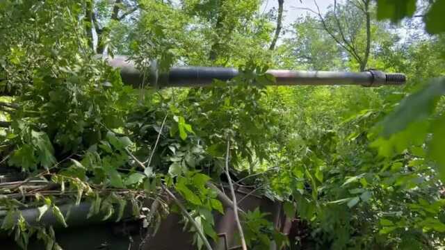 В Сети показали немецкую САУ, которая уже находится на позициях ВСУ