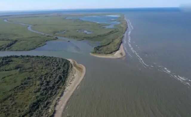 Залужный рассказал, что помогло освободить Змеиный: спасибо за САУ "Богдана"