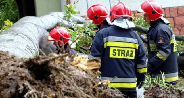 В Польше из-за бури пострадали семь человек