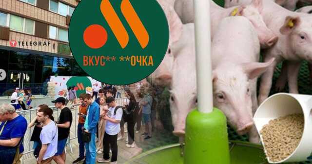 Комахи та пліснява: як у Росії Mcdonald’s "імпортозамістили"