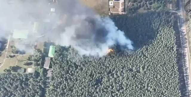 ВСУ показали, как уничтожили спрятанную в лесу вражескую технику из М777