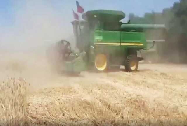 Мариупольских фермеров заставляют передавать весь урожай "торговому дому "ДНР", - Андрющенко