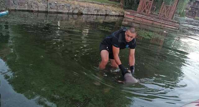 В Днепре возле популярного ресторана из реки достали мертвого мужчину