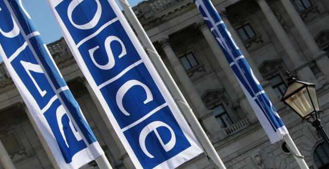 В ОБСЕ опубликовали доклад о военных преступлениях РФ: его поддержали 46 стран