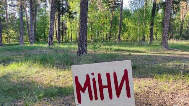 ВСУ минируют приграничные участки из-за угрозы вторжения со стороны Беларуси