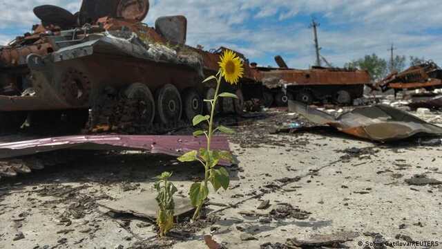 Кількість постраждалих дітей від російської агресії збільшилася