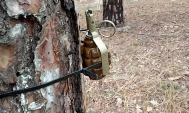 Під Києвом жінка підірвалася на ворожій міні