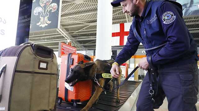 В Тбилиси задержали гражданку Украины, перевозившую наркотики из Бразилии