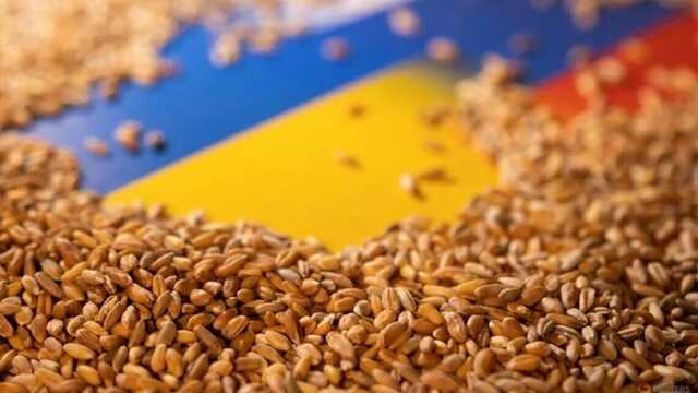 Жданов назвав найбільшу загрозу "зернової угоди" з РФ для України