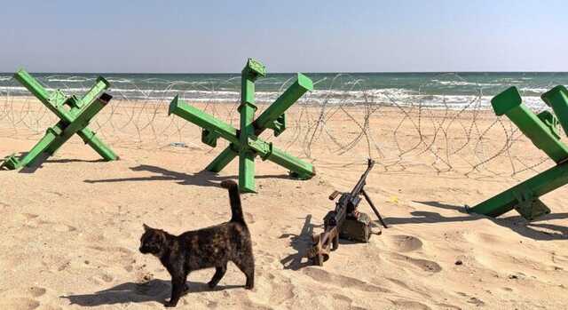 Про контрнаступ на Херсон