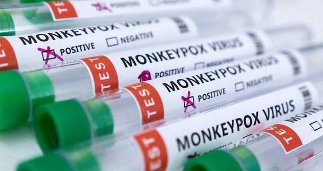 В Іспанії померли двоє інфікованих віспою мавп