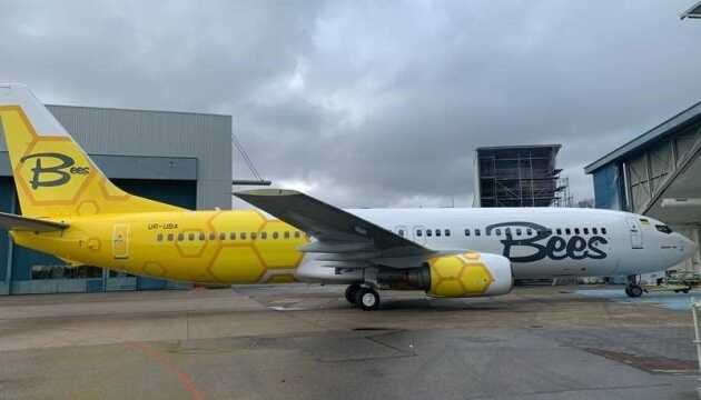       Bees Airline