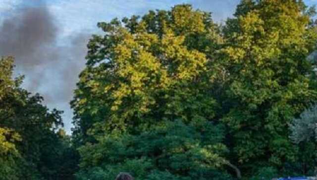 В Берлине вспыхнул масштабный пожар на складах с амуницией