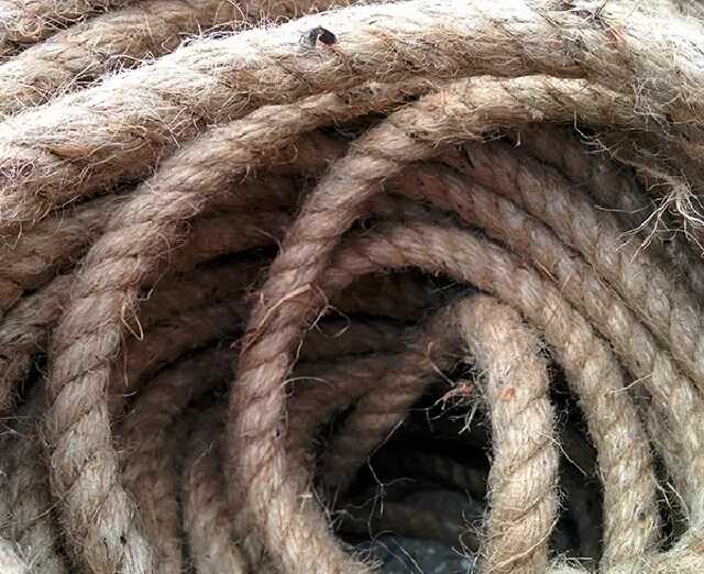 В Кривом Роге мужчина повесился у могилы своего отца