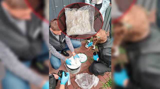 В Киеве 20-летняя девушка попалась на получении большой партии особо опасных наркотиков