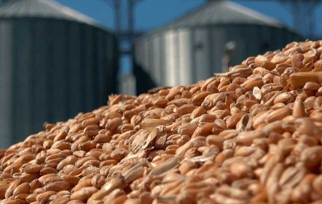 Із порту "Чорноморськ" не змогло вийти судно з українським зерном