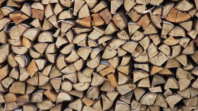 В Венгрии из-за энергетического кризиса запретили экспортировать дрова