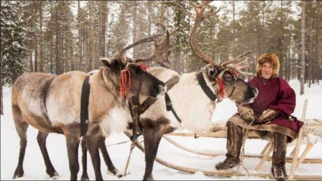 Мелітопольських водіїв "поріднять" з оленярем: люди в шоці від новини