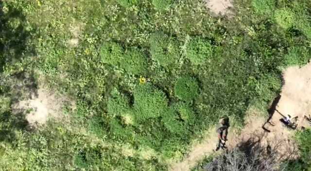 Боевой дрон ВСУ ликвидировал российского оккупанта