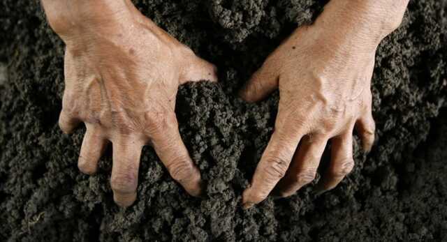 В Одеського екологічного університету вкрали землю на узбережжі Чорного моря