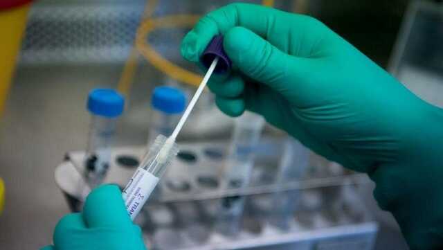 В Індії швидко поширюється новий вірус