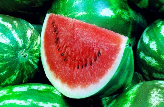 На аукціоні продали кавун, який подолав 900 км: кошти віддали на ЗСУ