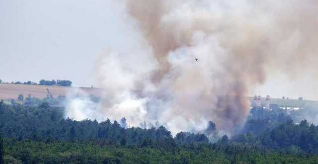 В Івано-Франківській області спалахнула масштабна лісова пожежа