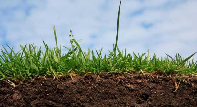 У Закарпатській області держреєстратору вручили підозру у корупції