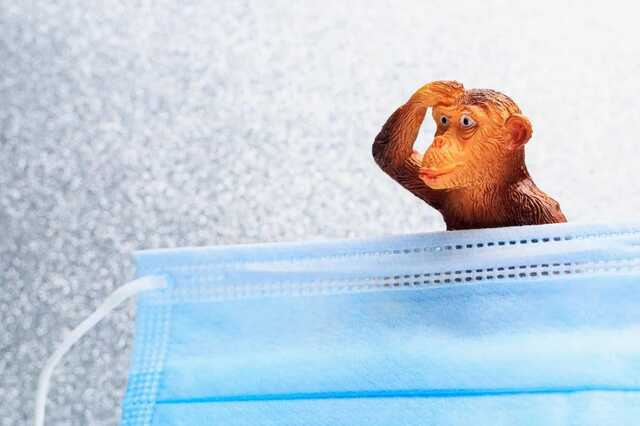 У Європі зафіксовано новий випадок смерті від мавпячої віспи