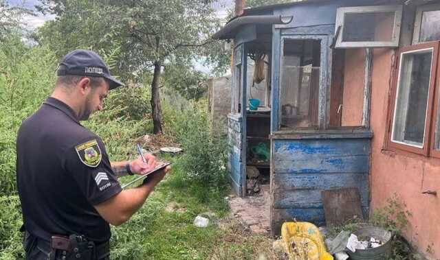 Під Києвом троє людей з однієї родини померли через отруєння грибами