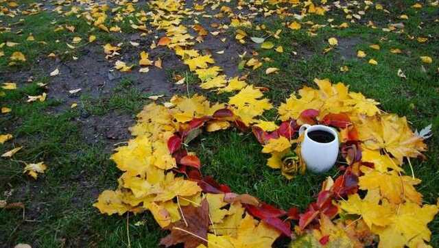 Тепло и без осадков: прогноз погоды на понедельник