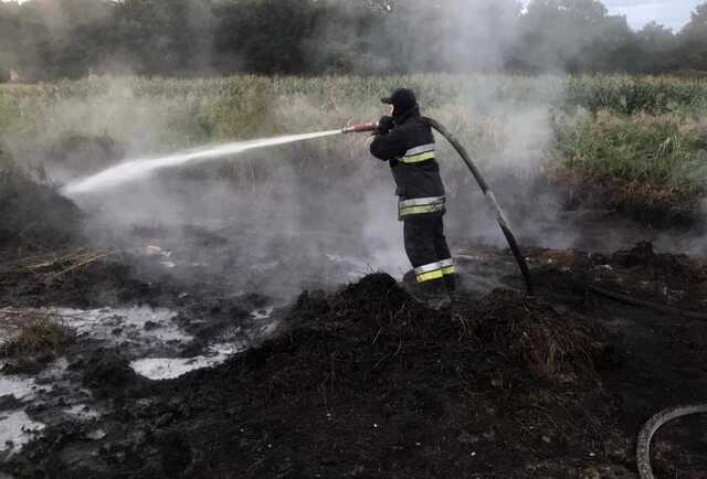 В Киевской области спасатели продолжили тушить пожары на торфяниках