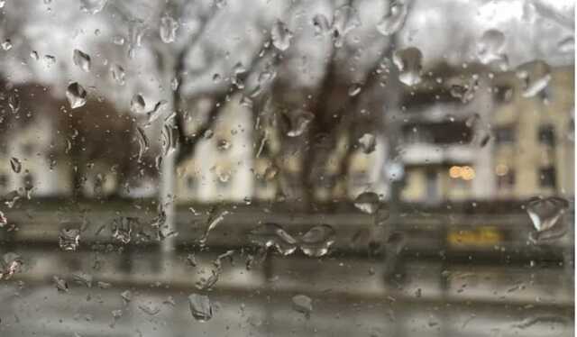 В Киеве через час ожидают порывы ветра, а завтра значительный дождь