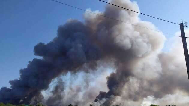 Через обстріли на Миколаївщині згоріли 11 тисяч гектарів унікального заповідного лісу