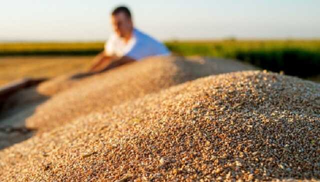 Франція та Румунія допоможуть Україні з експортом зерна