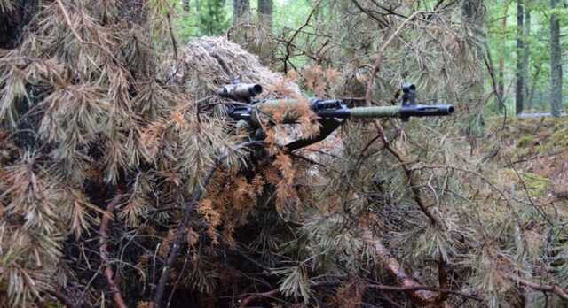 В МВД раскрыли детали военных учений Украины на границе с Беларусью