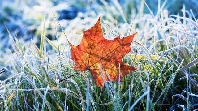 Найсильніше похолодання: синоптики назвали дату "морозу"