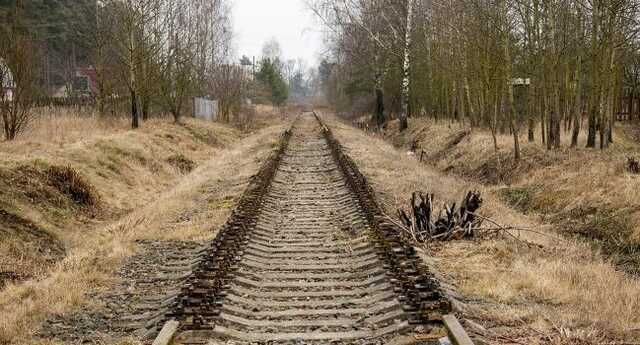 Готовят для мобилизованных? В Ростовской области заметили эшелон грузовиков