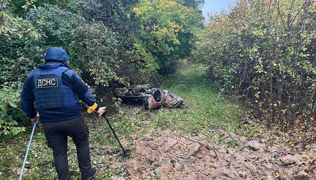 В Черниговской области четыре грибника погибли, подорвавшись на мине в лесу