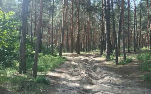 Ховаються у лісах: на Харківщині досі знаходять окупантів, що відстали