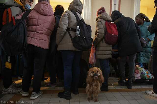 У Польщі хочуть зобов’язати українських біженців оплачувати надане державою житло