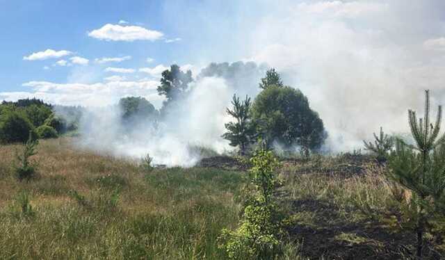 В Чернігівській області під час обстрілу прикордонних сіл загинув цивільний